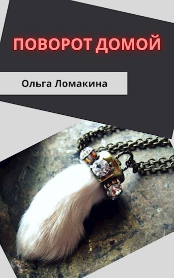 Обложка книги Поворот домой