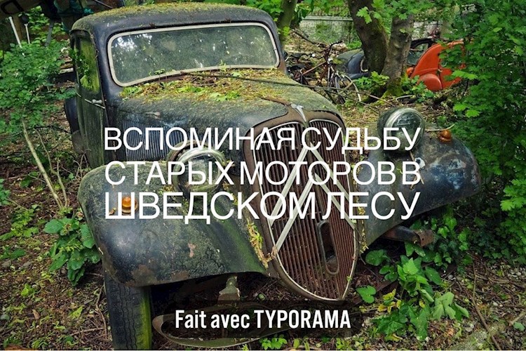 Обложка книги Вспоминая судьбу старых моторов в шведском лесу
