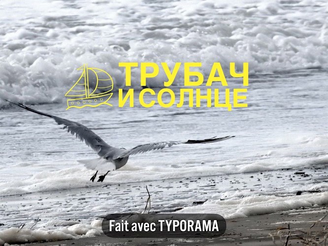 Обложка книги Трубач и солнце