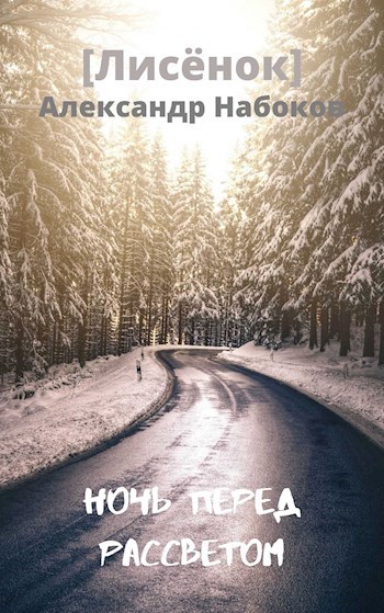 Обложка книги Ночь Перед Рассветом