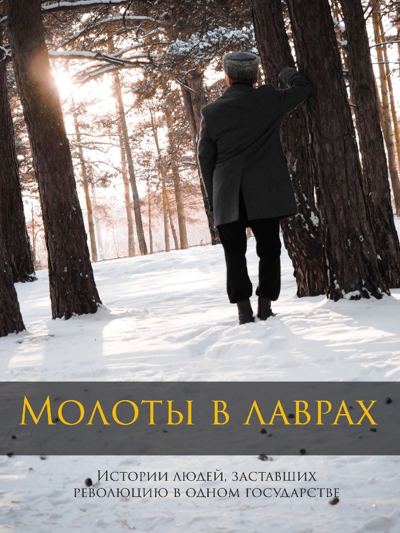 Обложка книги Молоты в лаврах