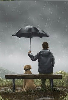 Обложка книги Оглянись, путник!