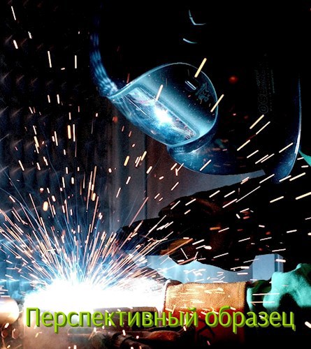 Обложка книги Перспективный образец