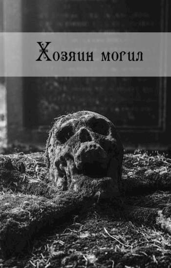 Обложка книги Хозяин могил