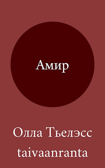 Обложка книги Амир