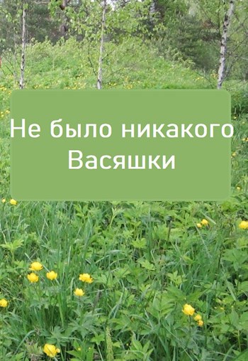 Обложка книги Не было никакого Васяшки