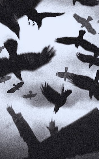 Обложка книги Сон или реальность