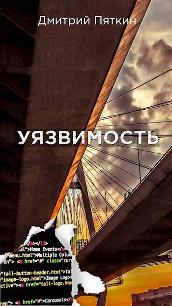 Обложка книги Уязвимость