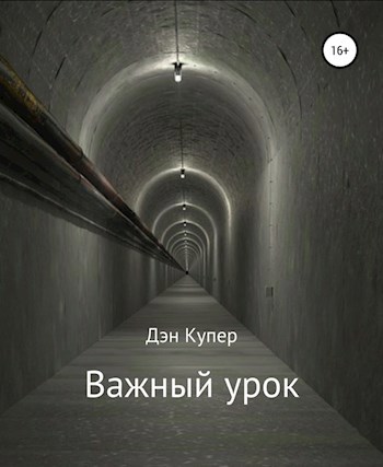 Обложка книги Важный урок