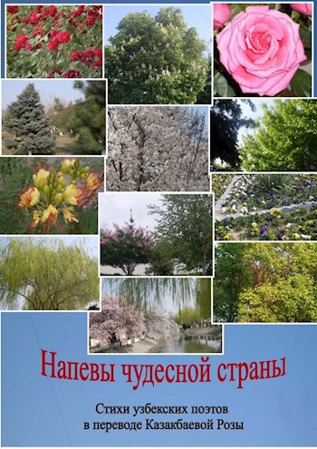 Обложка книги Напевы чудесной страны