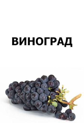 Обложка книги Виноград