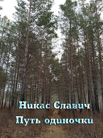 Обложка книги Путь одиночки