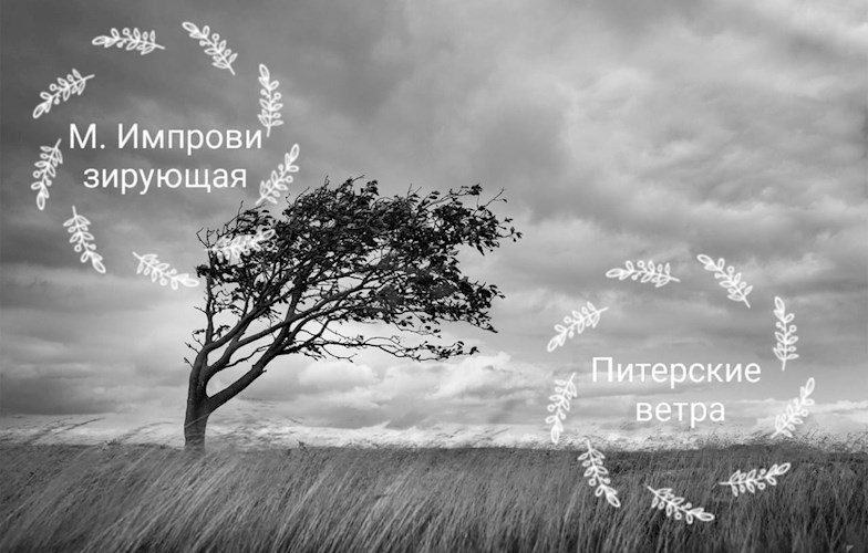 Обложка книги Питерские ветра.