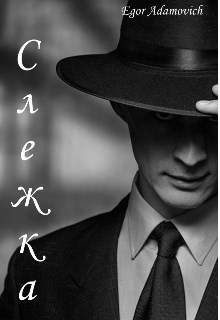 Обложка книги Слежка