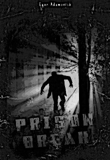 Обложка книги Prison break