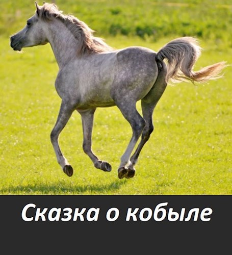 Обложка книги Сказка о кобыле