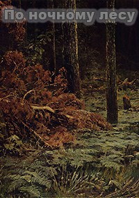 Обложка книги По ночному лесу