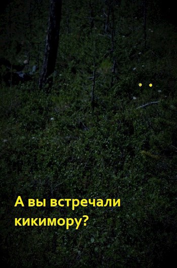Обложка книги А вы встречали кикимору?