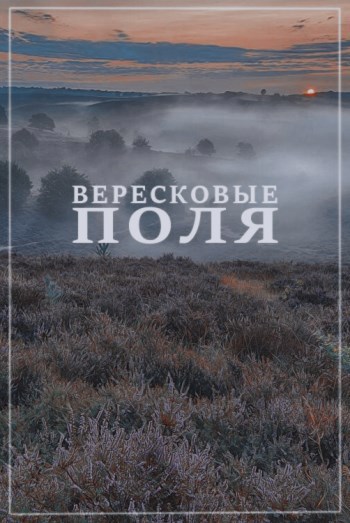 Обложка книги Вересковые поля