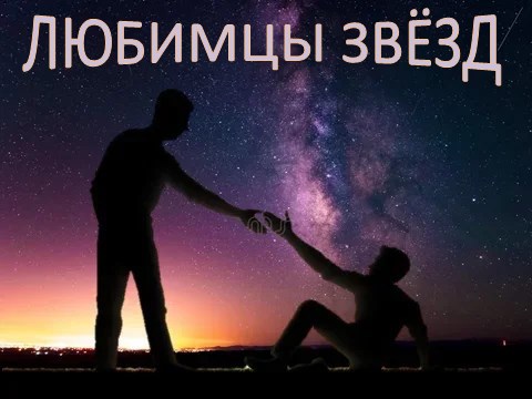 Обложка книги Любимцы звёзд