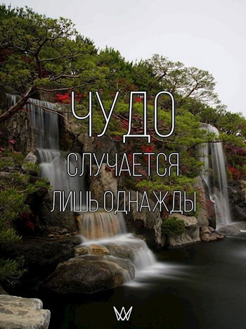 Обложка книги Чудо случается лишь однажды