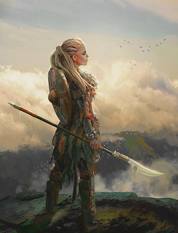 Обложка книги Воительница