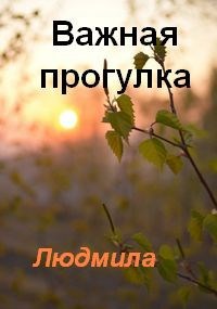 Обложка книги Важная прогулка