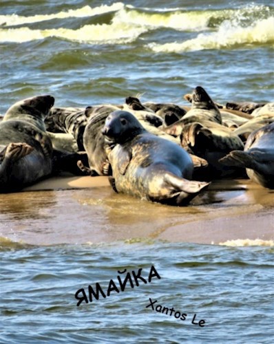 Обложка книги Ямайка