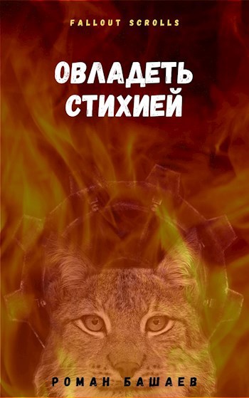 Обложка книги Овладеть стихией