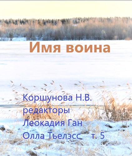 Обложка книги Имя воина (том 5)