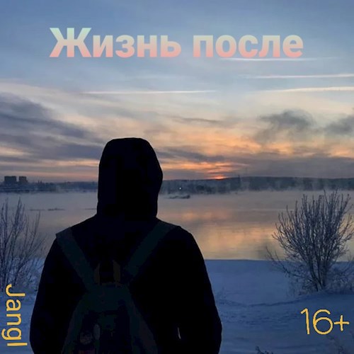 Обложка книги Жизнь после