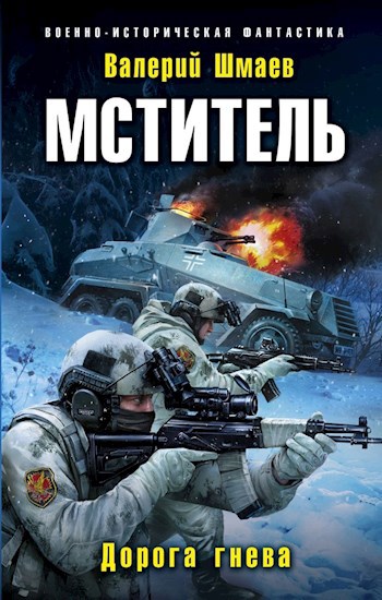 Обложка книги Мститель. Дорога гнева.