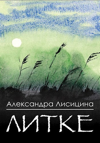 Обложка книги Литке