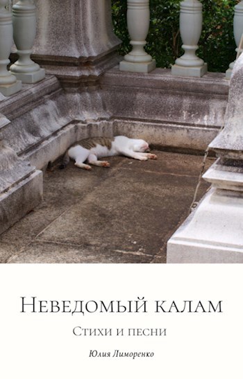 Обложка книги Неведомый калам