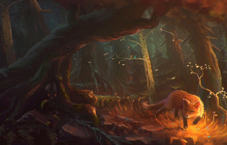 Обложка книги Лисья тропа