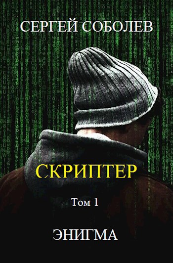 Обложка книги Скриптер. Том 1. Энигма