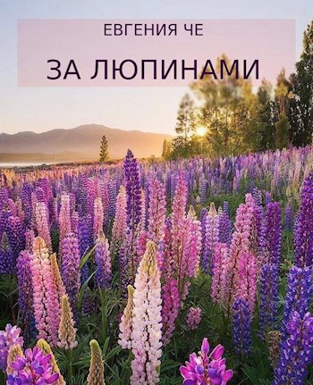 Обложка книги За люпинами