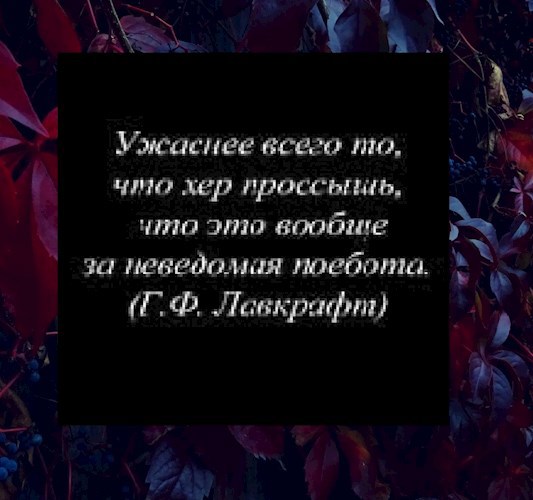 Обложка книги (Не)Потерянные мысли