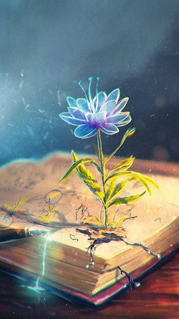 Обложка книги Первый сборник стихов