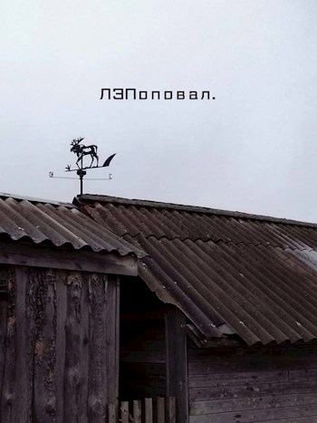 Обложка книги ЛЭПоповал.