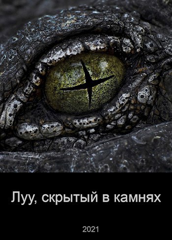 Обложка книги Луу, скрытый в камнях