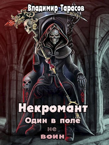 Обложка книги Некромант. Один в поле не воин. Книга 1