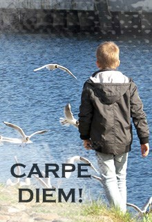 Обложка книги Carpe diem!