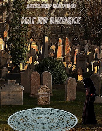 Обложка книги Маг по ошибке.