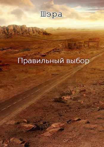 Обложка книги Правильный выбор