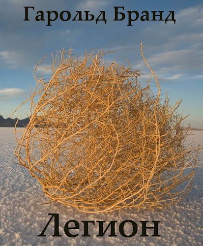 Обложка книги Легион