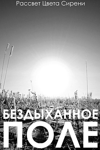 Обложка книги Бездыханное Поле