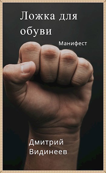Обложка книги Ложка для обуви