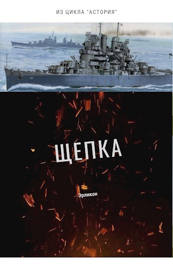 Обложка книги Щепка