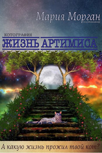 Обложка книги Жизнь Артимиса